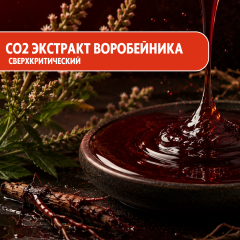 СО2 экстракт Воробейника жирорастворимый
